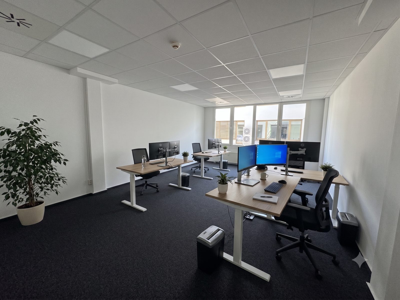 Heller Coworking-Arbeitsplatz für die tatsächliche Nutzung des Firmensitzes
